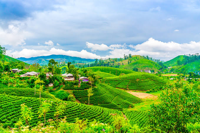 Mist-covered hills and reflective lake in Munnar, Kerala
